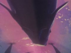 -大连圣亚海洋世界