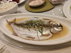 清蒸太湖白鱼-天福苑(崇宁路店)