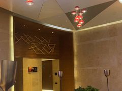 -南京禄口机场雅高铂尔曼大酒店