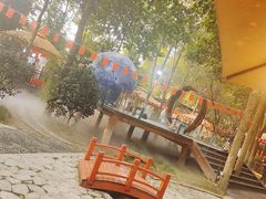 -二荆条·蜀鲜汇城市森林火锅