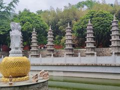 -普照寺