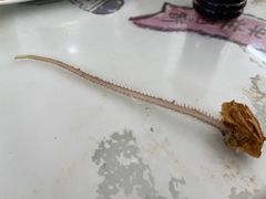 -李记牛庄馅饼(二台子店)