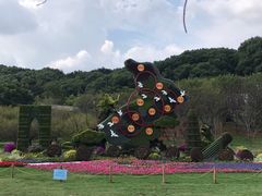 -苏州上方山国家森林公园