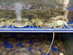 -阳澄湖大闸蟹·琼灵阁牌品牌连锁(吴中总店)