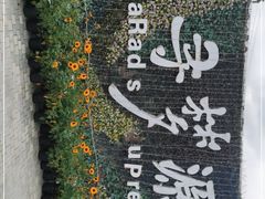-上海杨姆庄园