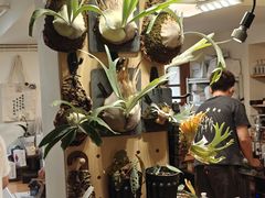 -本無咖啡·BeanWood Coffee