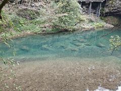 -石台牯牛降景区