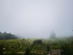 -白草畔自然风景区