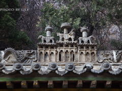 -藏山旅游风景区