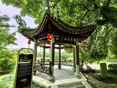 -江心屿景区