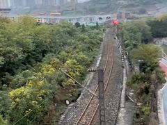 -大渡口区义渡公园