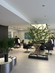 -付军剪艺JF ProSalon