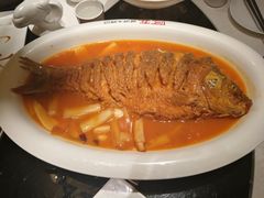 -阿五黄河大鲤鱼(英协路店)