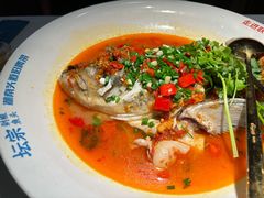 -坛宗剁椒鱼头(河西王府井店)