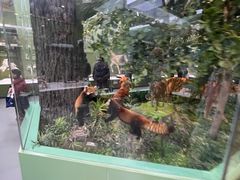 -国家自然博物馆