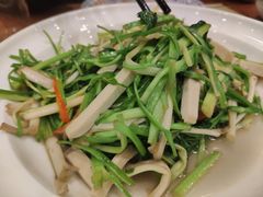 -西新饭店(城中店)