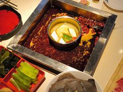 -二荆条·蜀鲜汇城市森林火锅