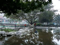 -神仙树公园