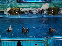 -多彩贵州城极地海洋世界