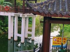 -火炉山森林公园