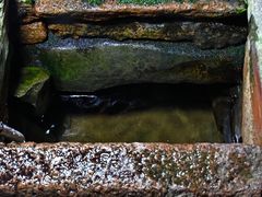 -瑞安圣井山景区