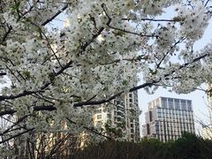 -苏州河梦清园环保主题公园