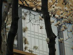 -龙华寺