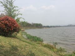 -星巴克(成都科学城店)