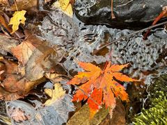 -本溪老边沟风景区