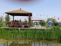 -同銮特种养殖场·龙虾垂钓