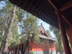 -洛阳白马寺