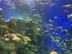 -海合安成都极地海洋公园