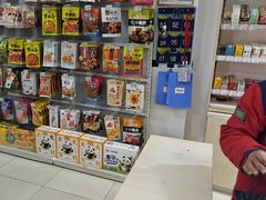 -中国能源朝平加油站