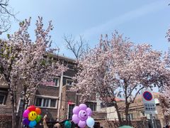 -天津五大道文化旅游区