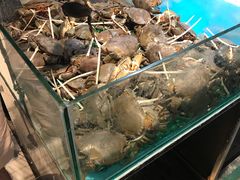 -盒马鲜生(曜一城店)