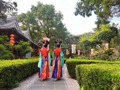 -白家大院·王府宫廷菜(苏州街店)