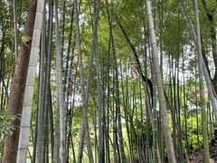 -金水泊山庄·花椒鸡(铁山坪店)