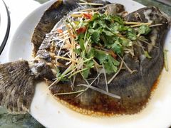 清蒸多宝鱼-沿海渔家院蒸汽海鲜·东北菜(东戴河店)