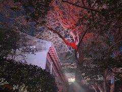 -环城公园