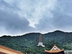-深圳仙湖植物园