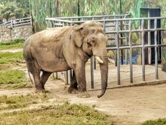 -西安秦岭野生动物园