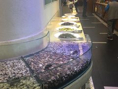 -爱尚客韩式烤肉自助餐厅(海口京华城店)