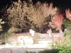 -禅宗少林·音乐大典