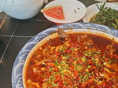 -新概念来凤鱼(璧山店)