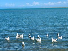 -青海湖国家重点风景名胜区