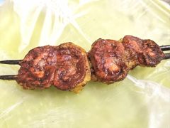-艾力江和田馕坑烤肉店