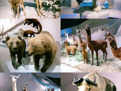 -武汉园博园(武汉自然博物馆)