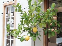 -方炉面包(丹凤店)