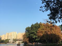 -荔湾湖公园