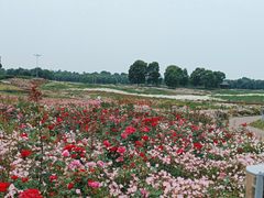 -苏州湾体育公园